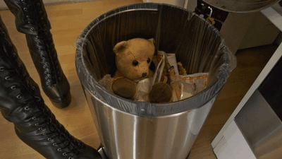 Your beloved teddy is just junk to me