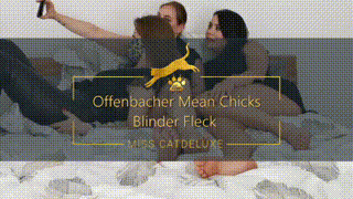 Offenbacher Mean Chicks - Blind Spot