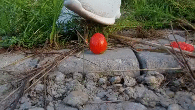 Tomatoes Crushing (720p)